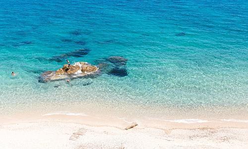 Yearly Team Leader Membership